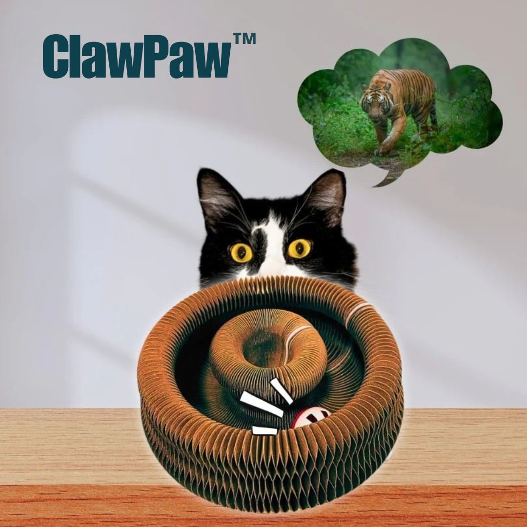 ClawPaw™