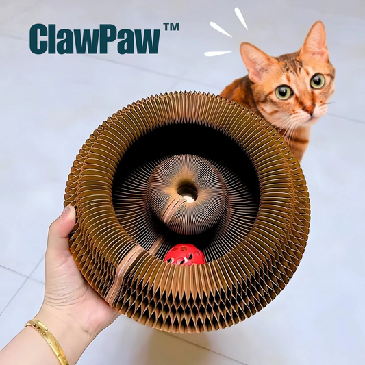 ClawPaw™